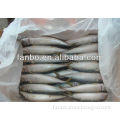 fresh frozen mackerel (200g-300g )